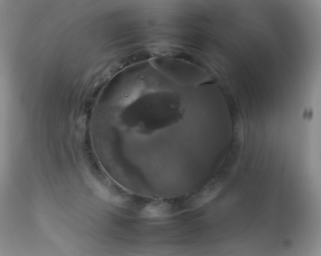 X0000112830271200908211223