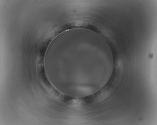 X0000112830272200908211223