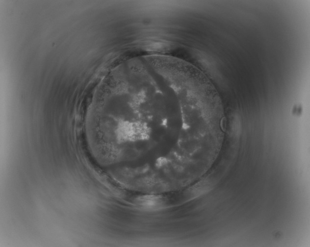 X0000112830273200908211224