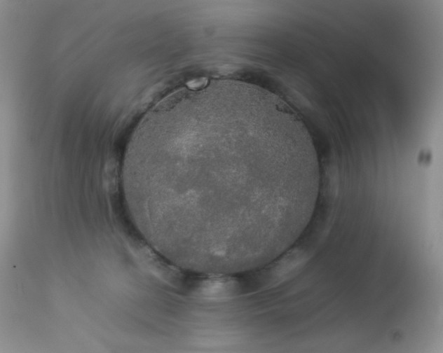 X0000112830274200908211224