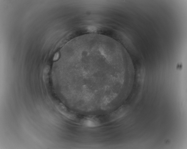 X0000112830275200908211224