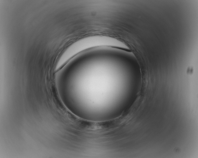 X0000112830276200908211224