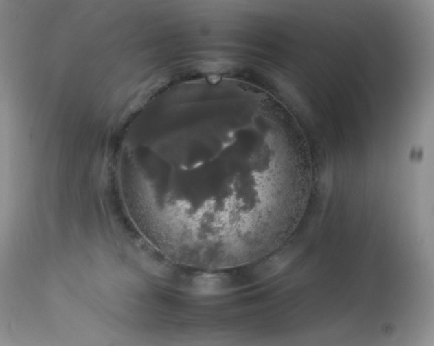 X0000112830277200908211224