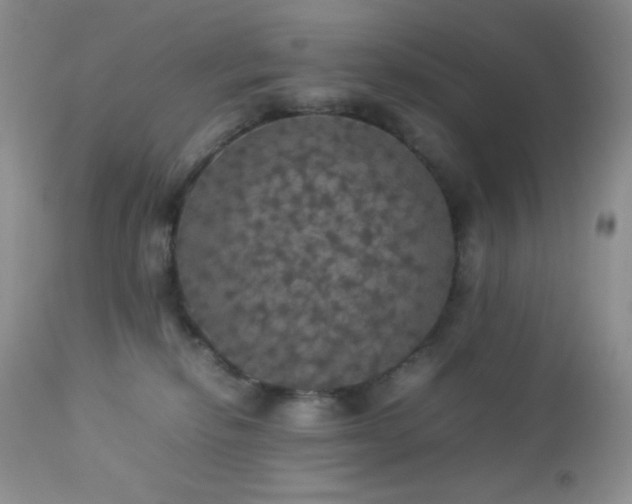 X0000112830278200908211224