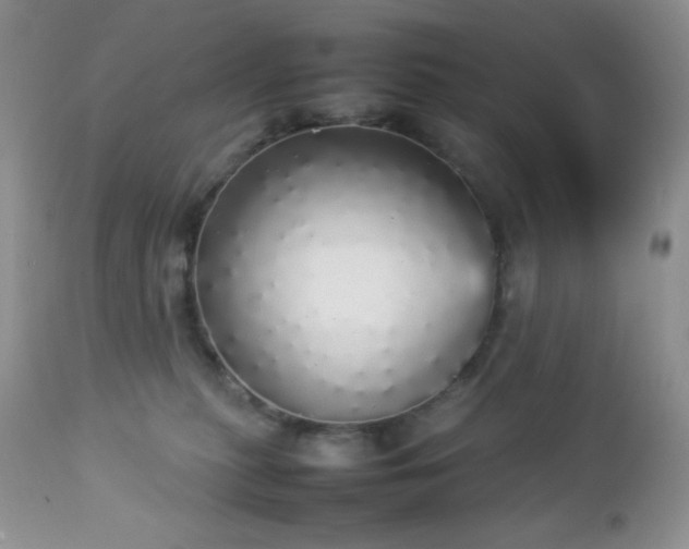 X0000112830279200908211224