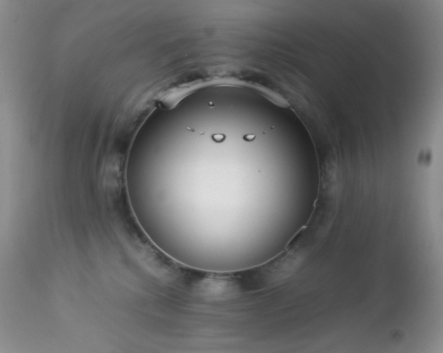 X0000112830280200908211224