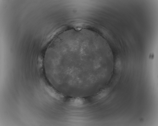 X0000112830282200908211224