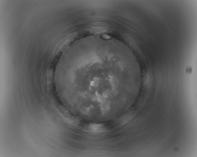 X0000112830283200908211224