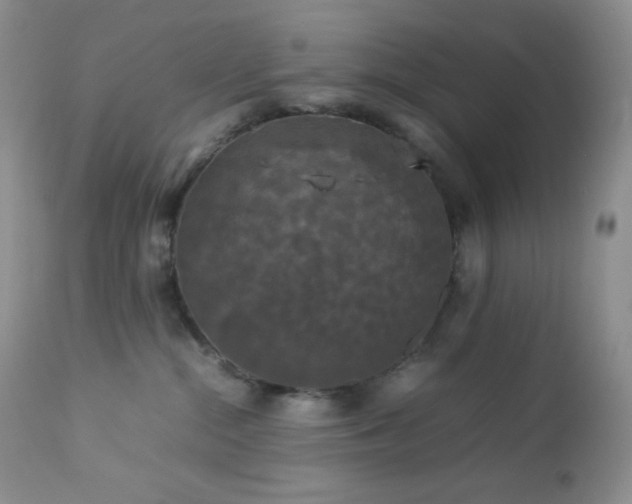 X0000112830284200908211224