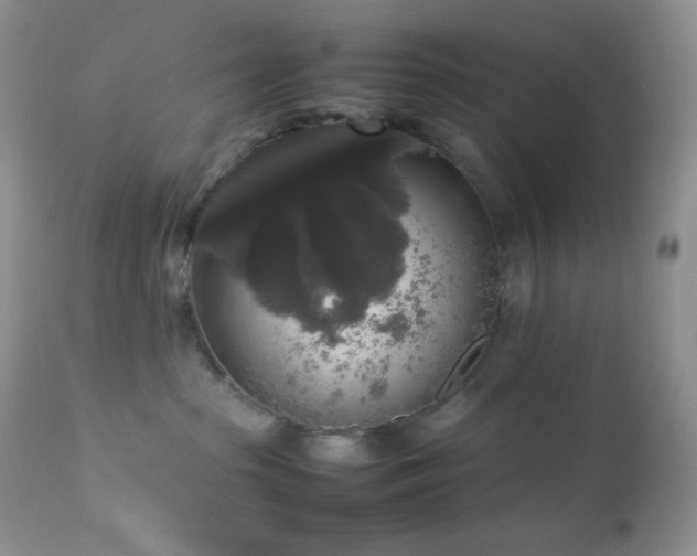 X0000112830285200908211224