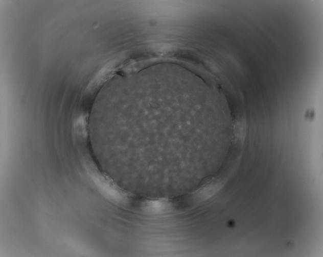 X0000112830286200908211224