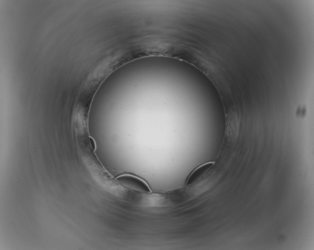 X0000112830287200908211224