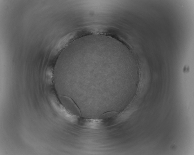 X0000112830288200908211224