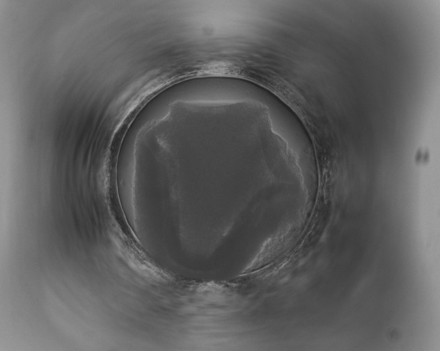 X0000112830290200908211223