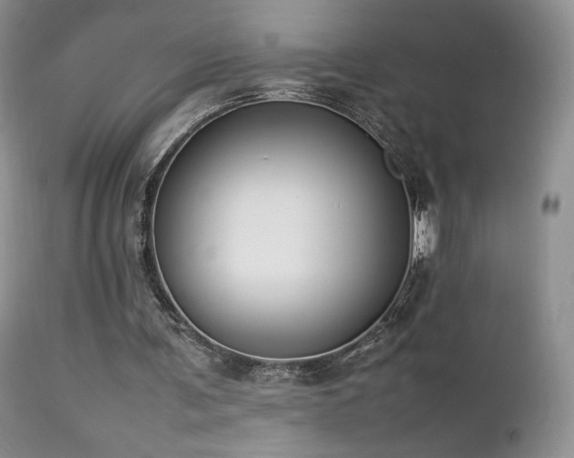 X0000112830291200908211223