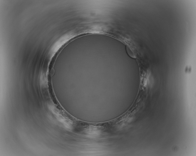 X0000112830292200908211223