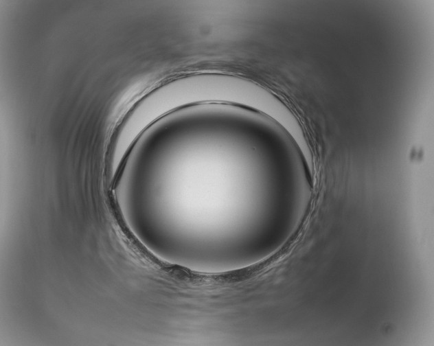 X0000112830293200908211223