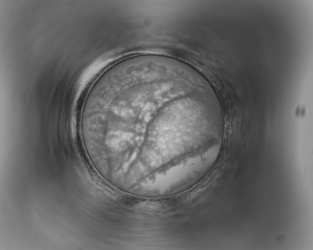 X0000112830294200908211223