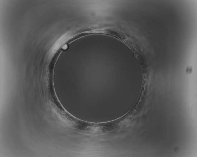 X0000112830295200908211223