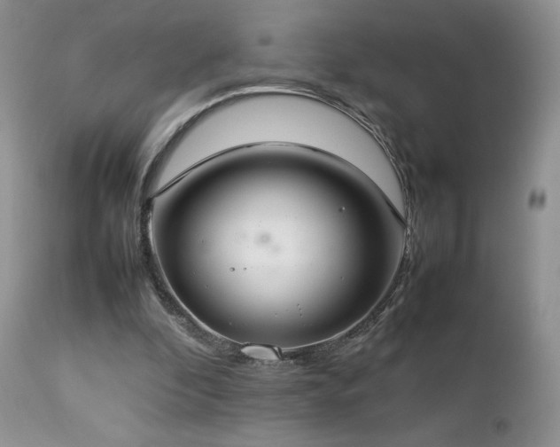 X0000112830296200908211223