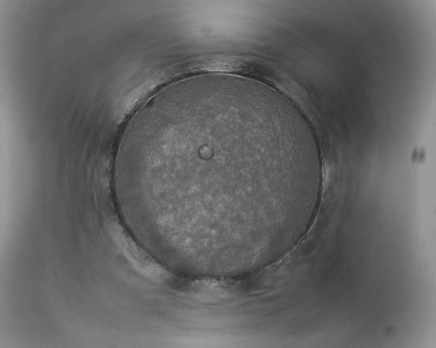 X0000112830297200908211223