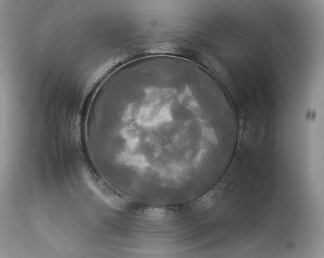 X0000112830298200908211223