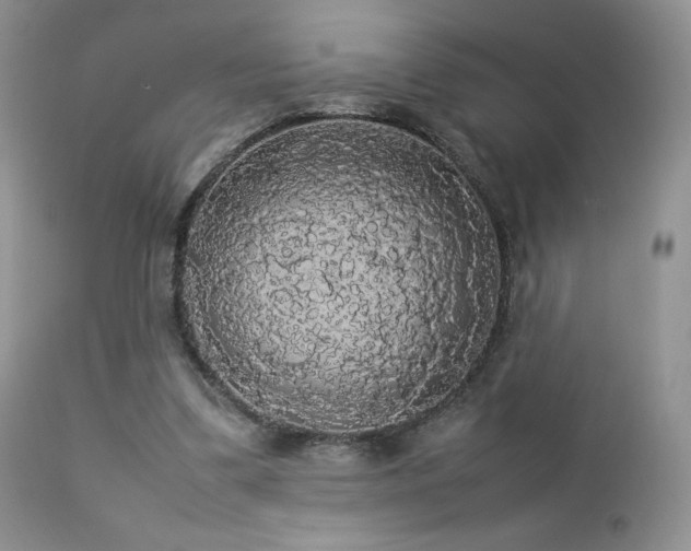 X0000112830299200908211223