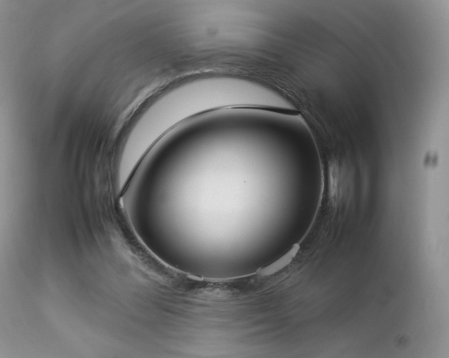 X0000112830300200908211223