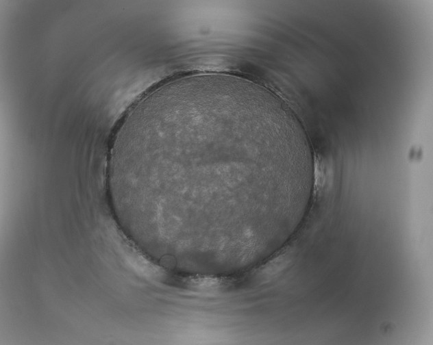 X0000112830301200908211223