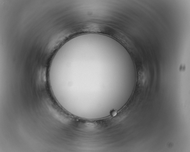 X0000112830302200908211223