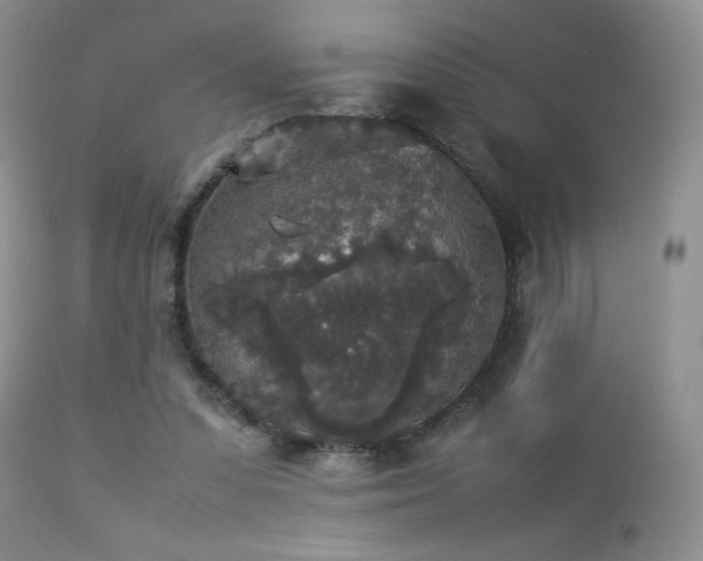 X0000112830303200908211223