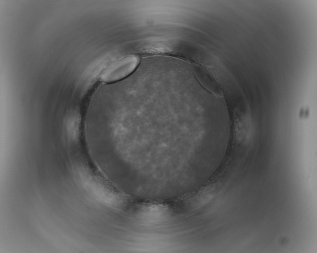 X0000112830304200908211223