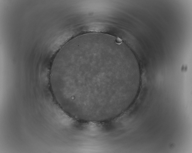 X0000112830305200908211223