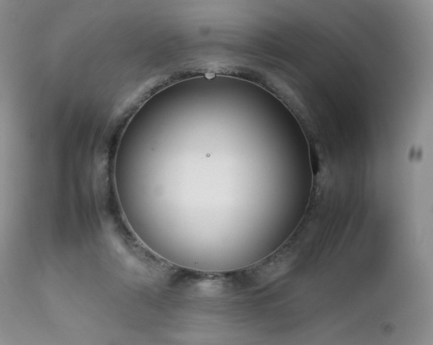 X0000112830306200908211223