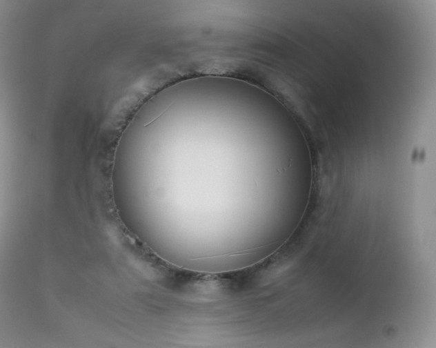 X0000112830307200908211223