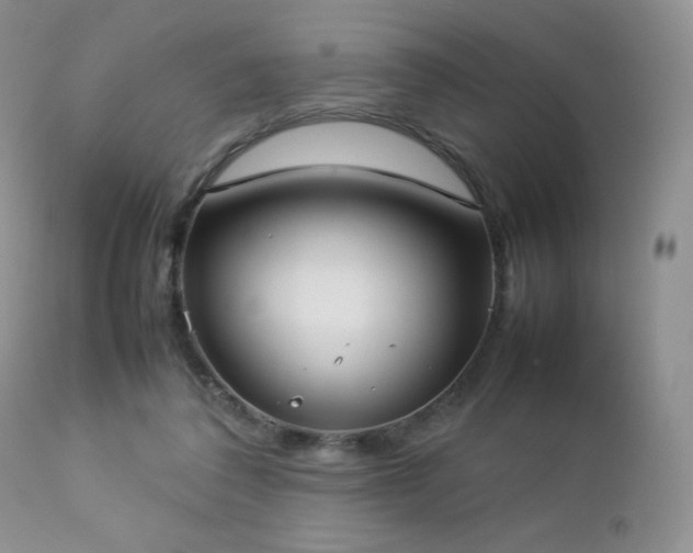 X0000112830308200908211223