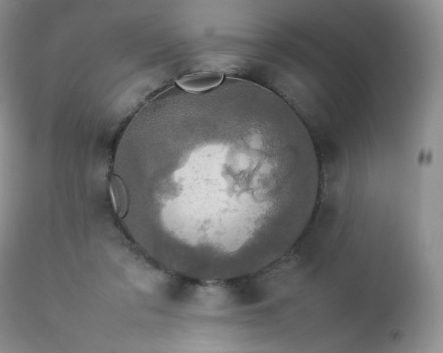 X0000112830309200908211223