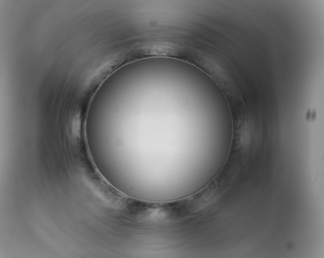 X0000112830310200908211223