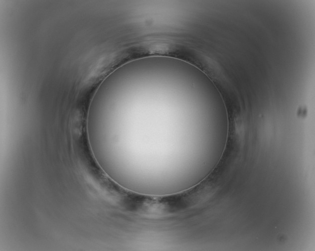 X0000112830311200908211223