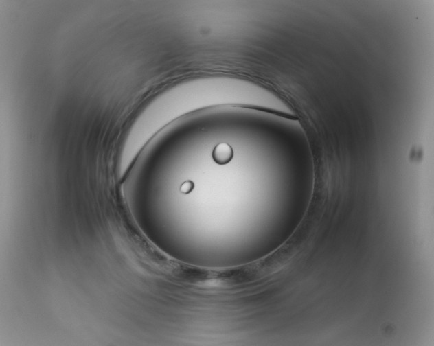 X0000112830312200908211223