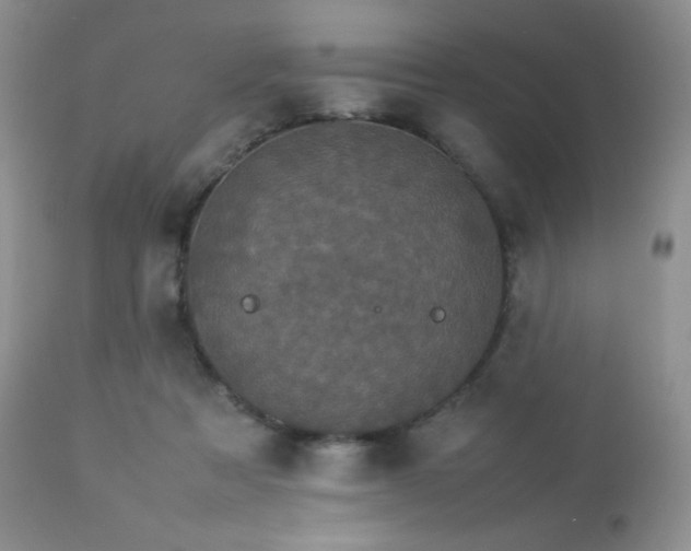 X0000112830313200908211223