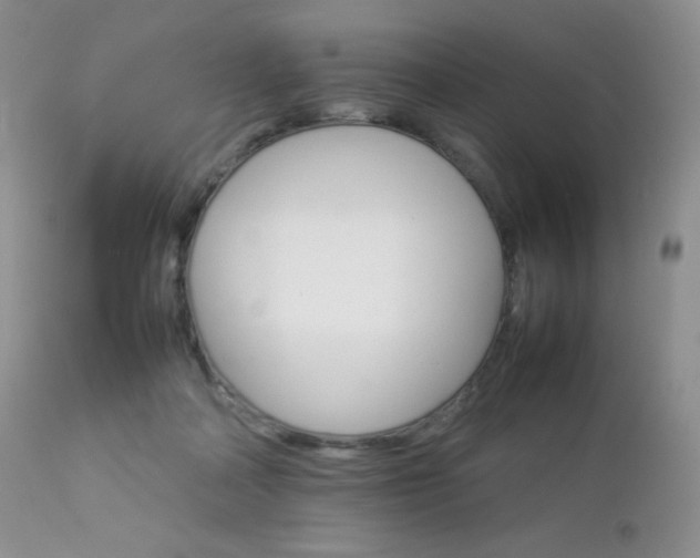 X0000112830314200908211223