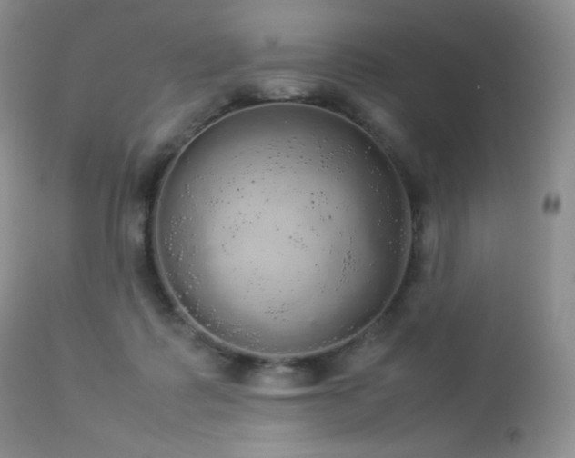 X0000112830315200908211223