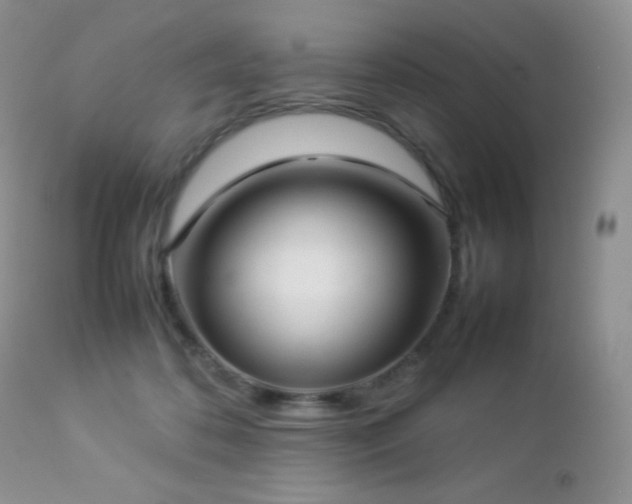 X0000112830316200908211223