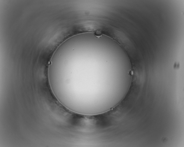 X0000112830317200908211223