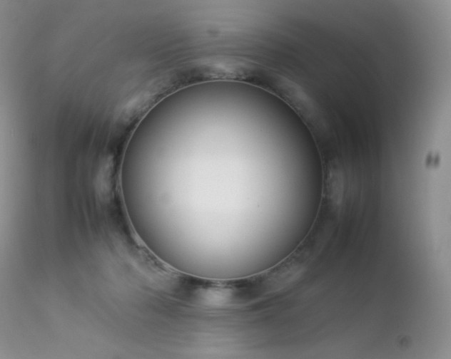 X0000112830318200908211223