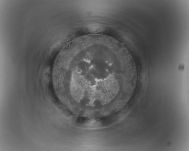 X0000112830319200908211223