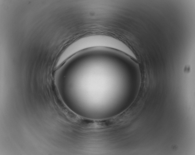 X0000112830320200908211223