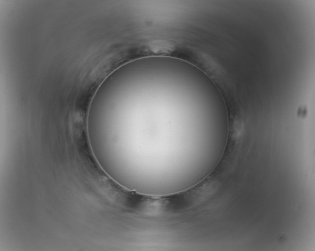 X0000112830321200908211223