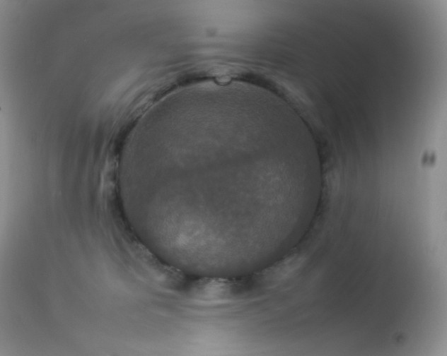 X0000112830325200908211223